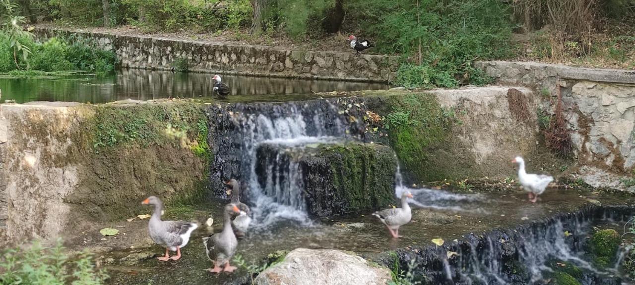Alojamientos Puerta Del Parque Cazorla Eksteriør bilde