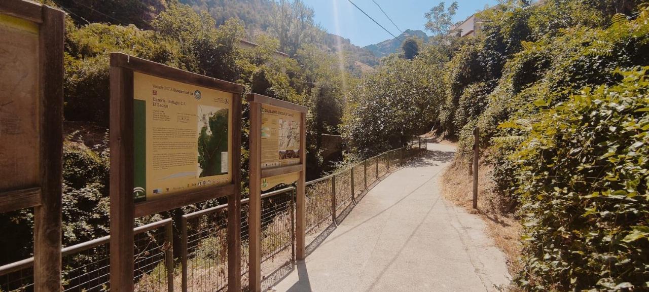 Alojamientos Puerta Del Parque Cazorla Eksteriør bilde
